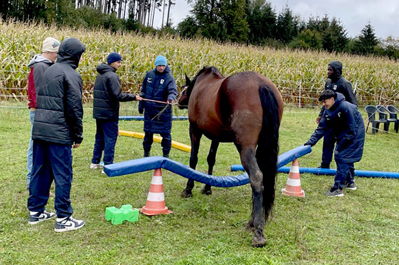 Die Jungs mussten die Pferde durch komplexe Parcours führen. Foto: Privat