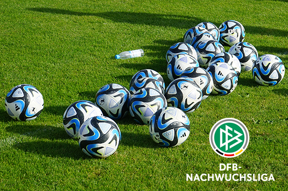 Die vergangenes Jahr neu eingeführte DFB-Nachwuchsliga geht in ihre zweite Saison. Foto: Joachim Mentel