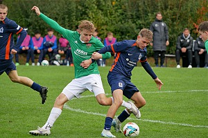 Gleich zweimal konnte David Matijevic gegen Schweinfurt einnetzen. Foto: K. Eckl